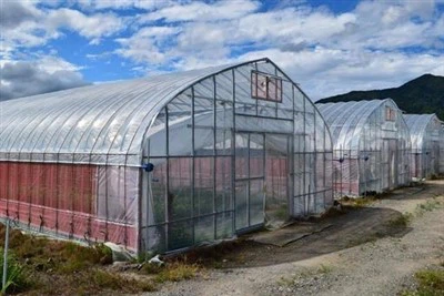 Пластеник од полиетиленске фолије